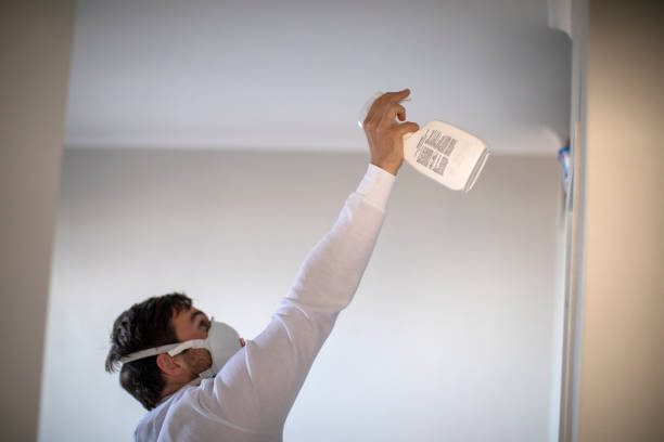 Best Mold Testing  in Spring Lake, MI