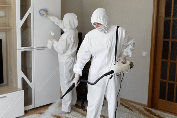 Mold Testing and Removal in Spring Lake, MI