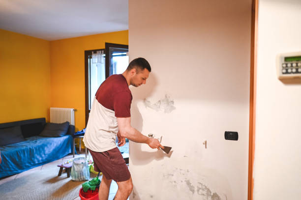 Professional Mold Removal in Spring Lake, MI